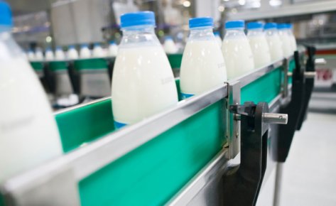 Proceso de la leche y sus derivados